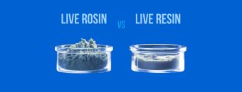 THCA Live Resin vs. THCA Live Rosin: The Differences and Similarities