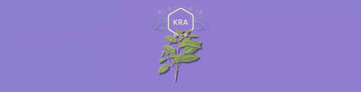 Does Kratom Show Up On A Drug Test? All The Facts