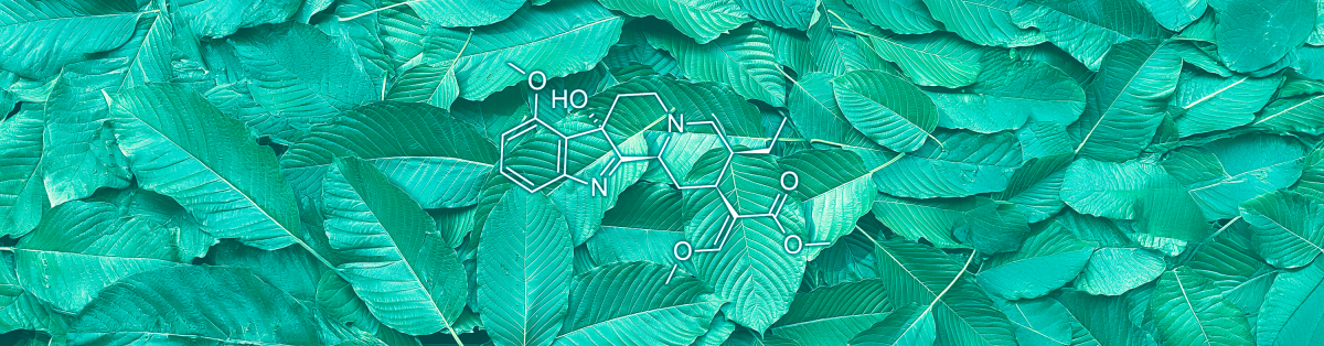 7-Hydroxy Mitragynine's Role in Kratom’s Effects