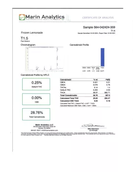Frozen Lemonade Flower - Sativa - THCA