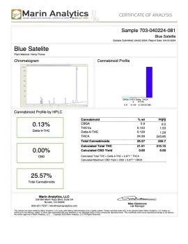 Blue Satellite Flower - Sativa - THCA