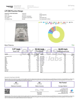 25mg Broad Spectrum CBD Dip Pouches - Mango - Lip