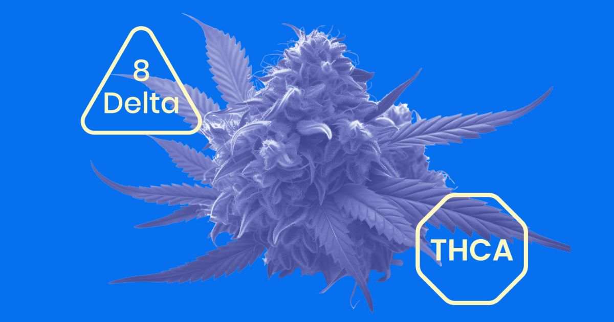 THCA Vs Delta 8 Explained: Effects, Legality & More