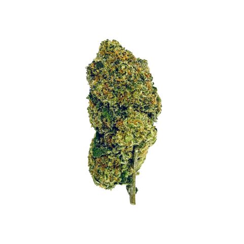 Half O THCA Flower Bundle - Sativa - Fresh - Thumbnail 2