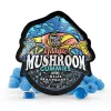 Magic Mushroom Gummies - 2mg - Blue Raspberry - Tre House