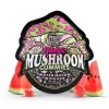 Magic Mushroom Gummies - 2mg - Watermelon Wonder - Tre House