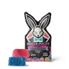 Nootropic Mushroom Blend Gummies - 22.5mg - Fruity Blend - Hocus Pocus